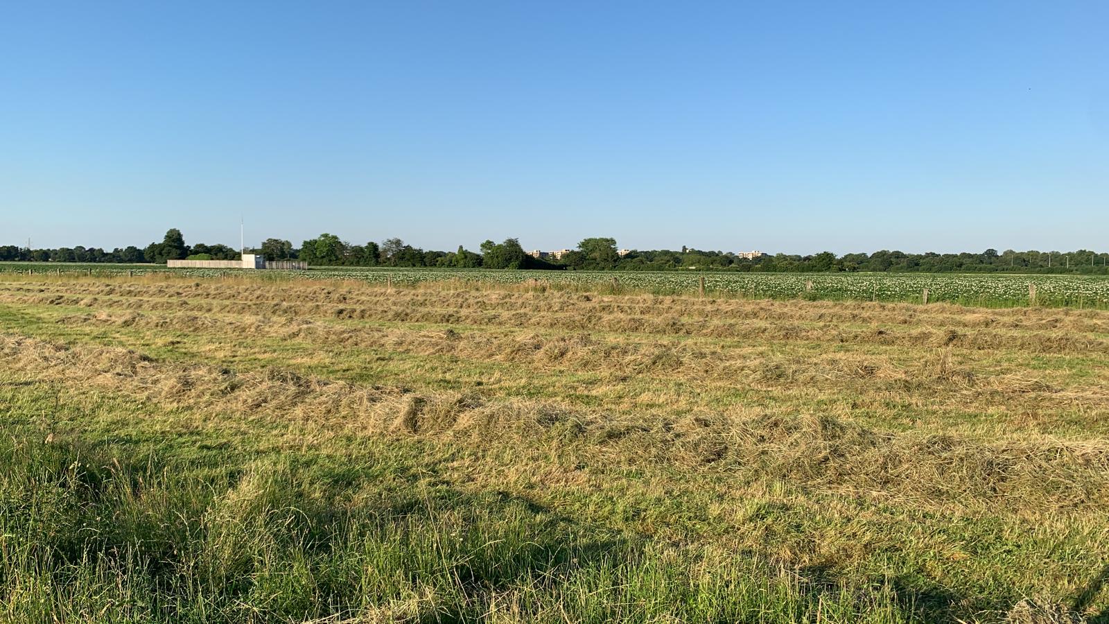 Eindruck vom Schmeddershof